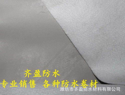歡迎訪問閻良區(qū)齊盈防水——自粘聚合物改性瀝青防水卷材專業(yè)供應(yīng)商